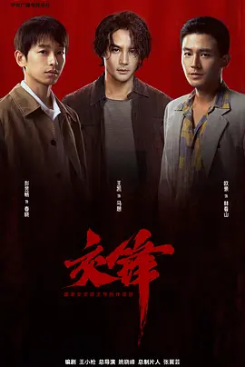 电影天堂《交锋》作品海报