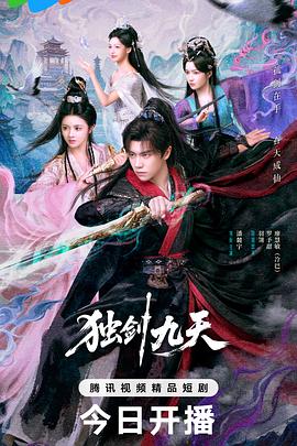 电影天堂《独剑九天》作品海报
