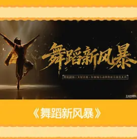 电影天堂《舞蹈新风暴》作品海报