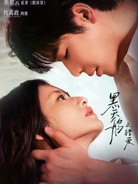 电影天堂《黑天鹅之错爱》作品海报